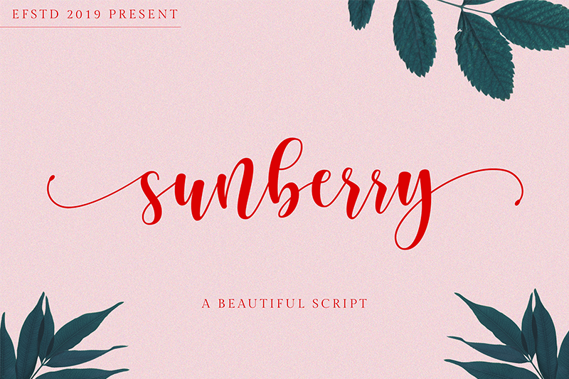 Sunberry illustration 2