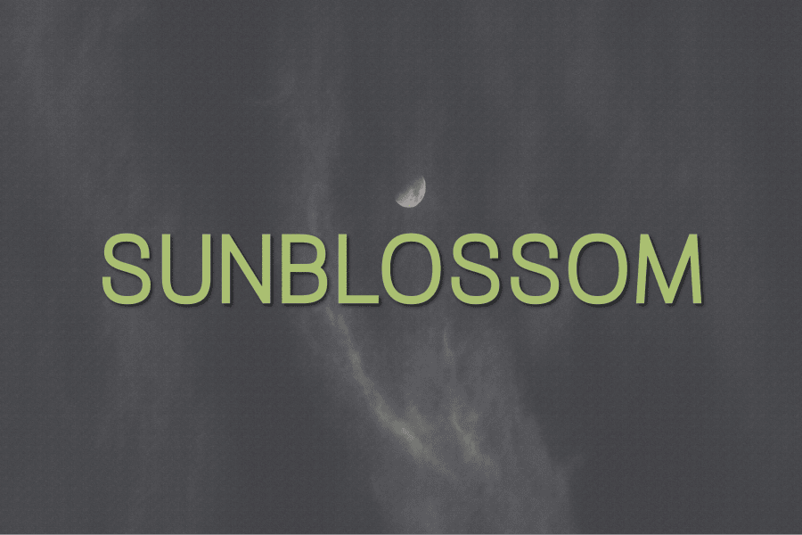 Sunblossom Font · 1001 Fonts