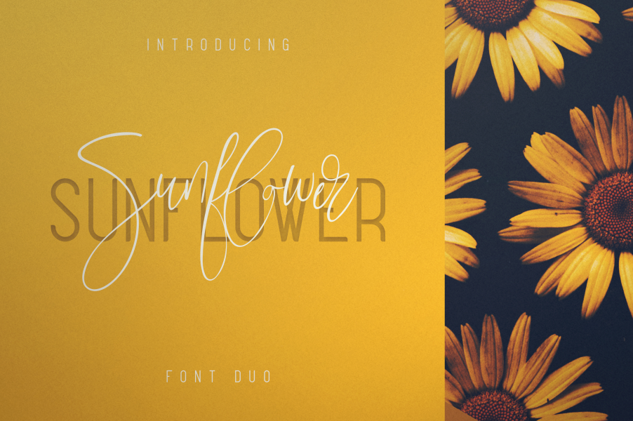 Sunflower Font · 1001 Fonts