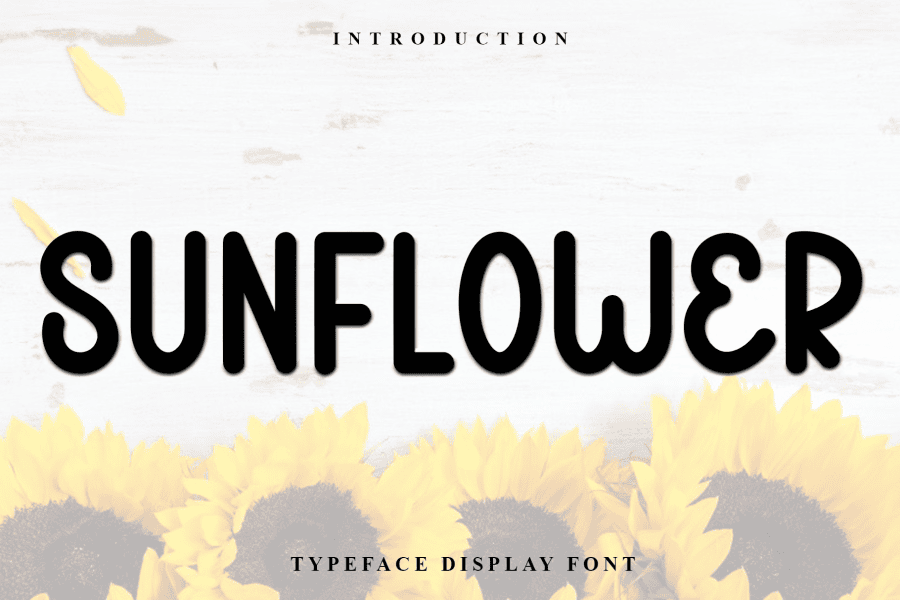 Sunmori Font · 1001 Fonts