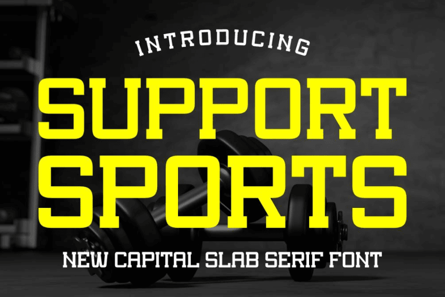 Support Sports Font · 1001 Fonts