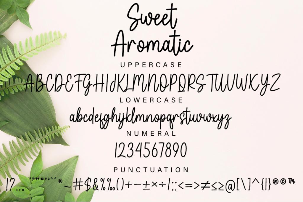 Sweet Aromatic illustration 6