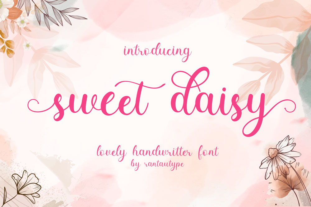 Sweet Daisy illustration 2