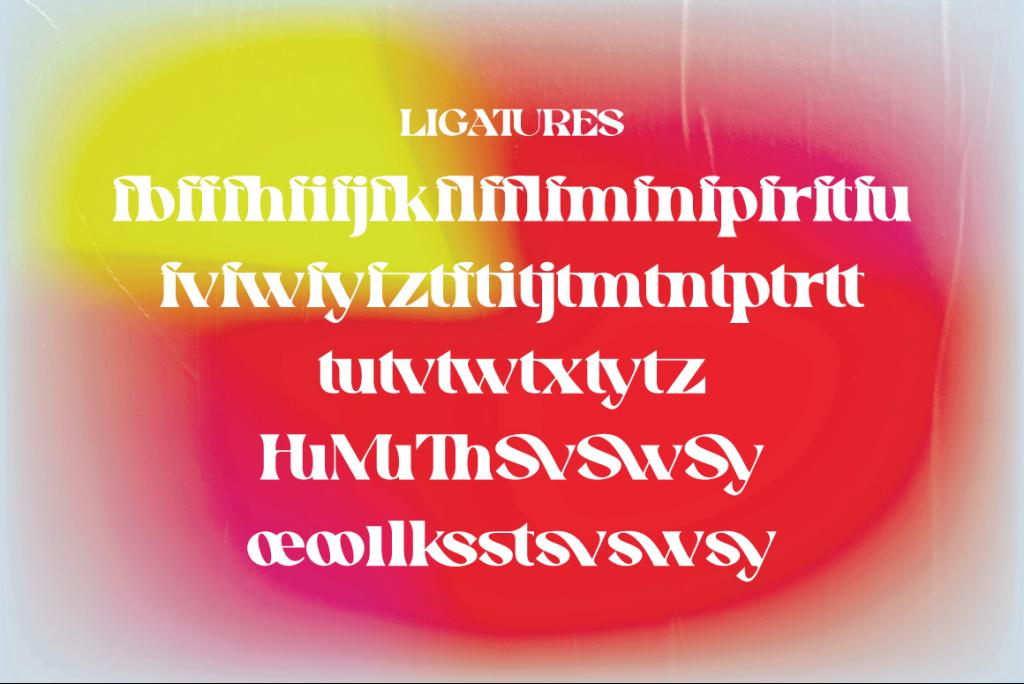 Swomun Serif illustration 9