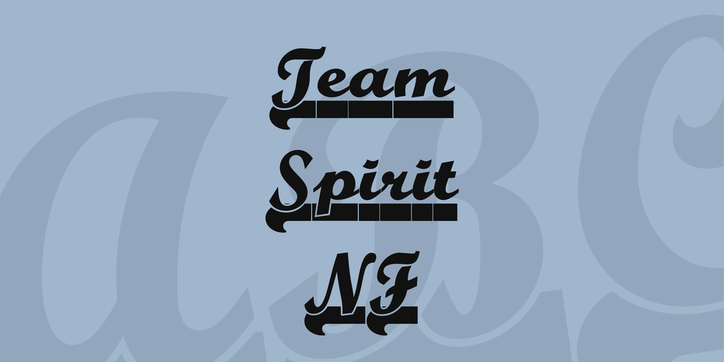 Team Spirit NF illustration 1