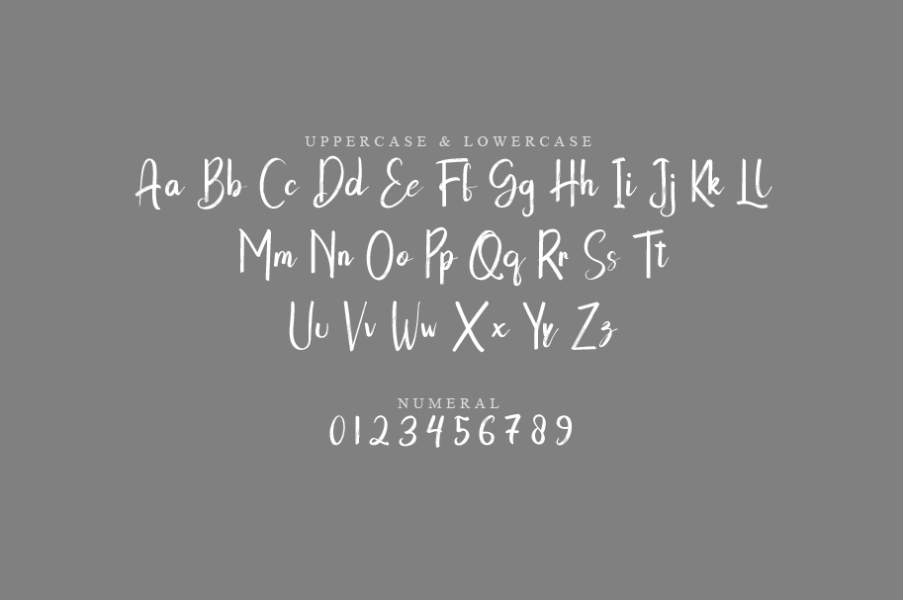 Telor Font · 1001 Fonts