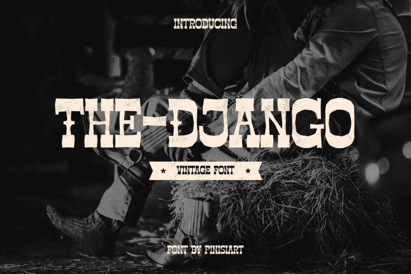 The-Django illustration 1