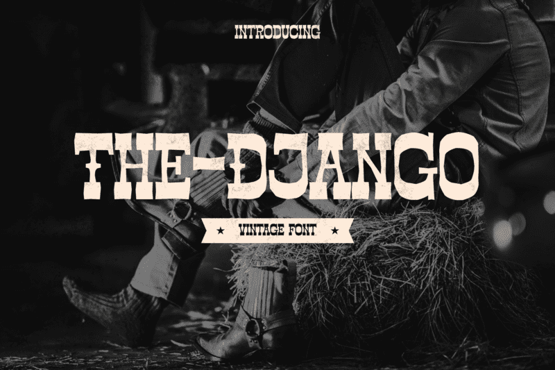 The-Django illustration 3