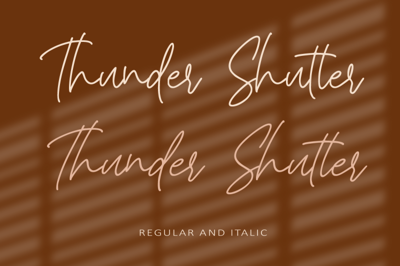 Thunder Shutter illustration 8