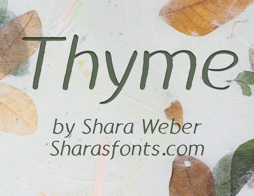 Thyme illustration 2