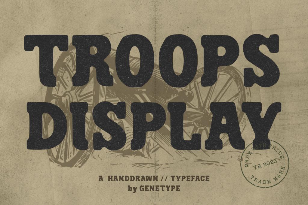 Troops Display illustration 2
