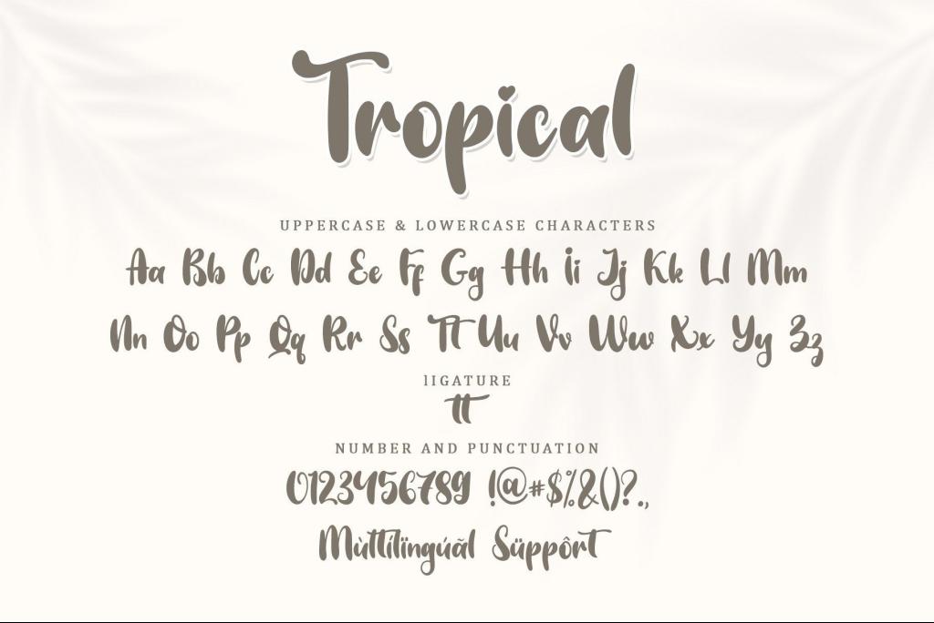 Tropical Display - Personal Use illustration 9