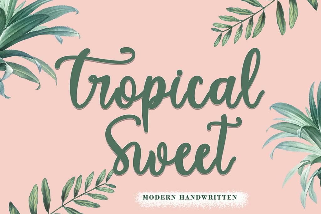 Tropical Sweet illustration 9