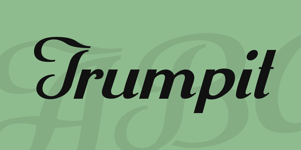 Trumpit illustration 1