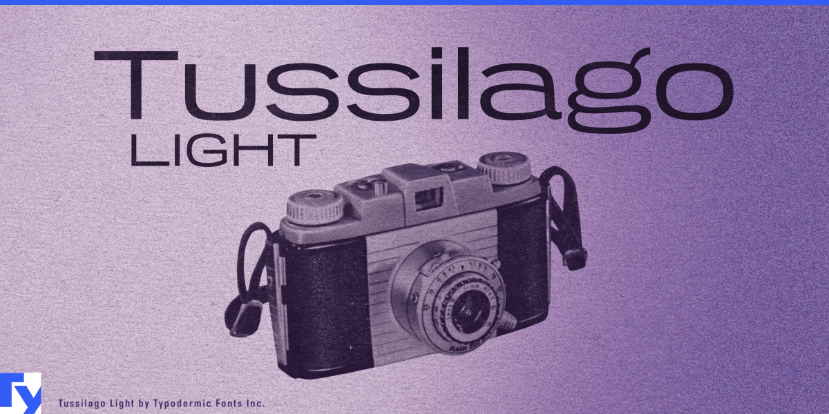 1 Free Editorial, Sturdy Geometry Font · 1001 Fonts