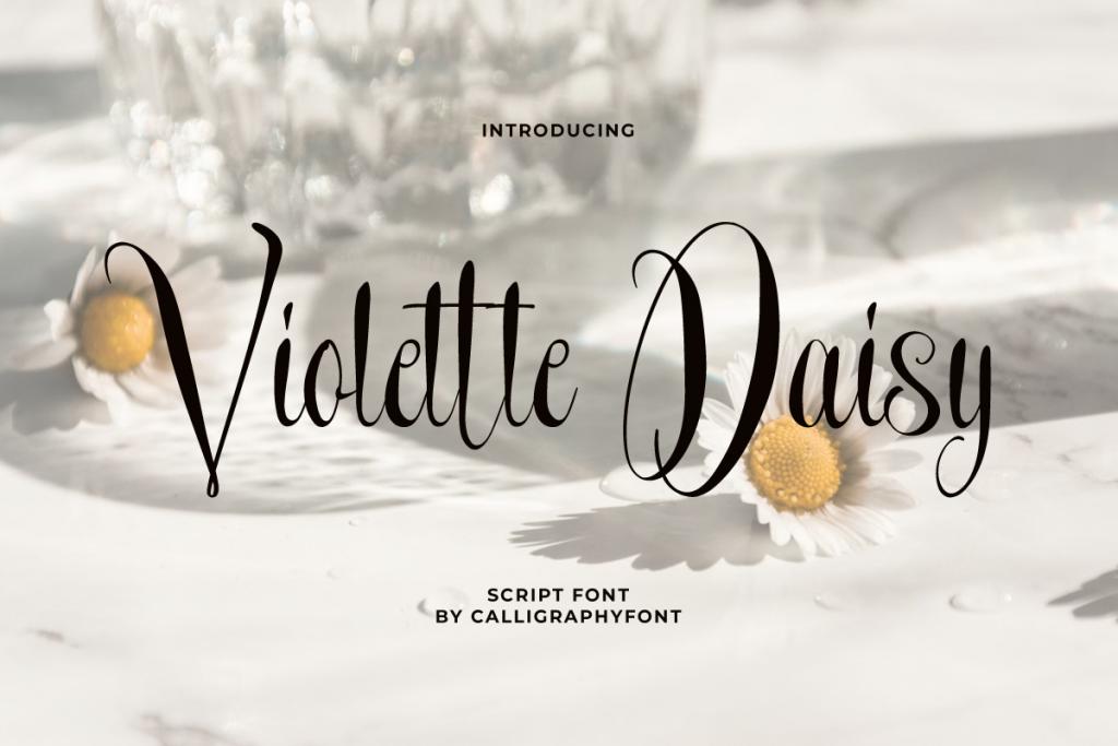 Violette Daisy Demo illustration 2