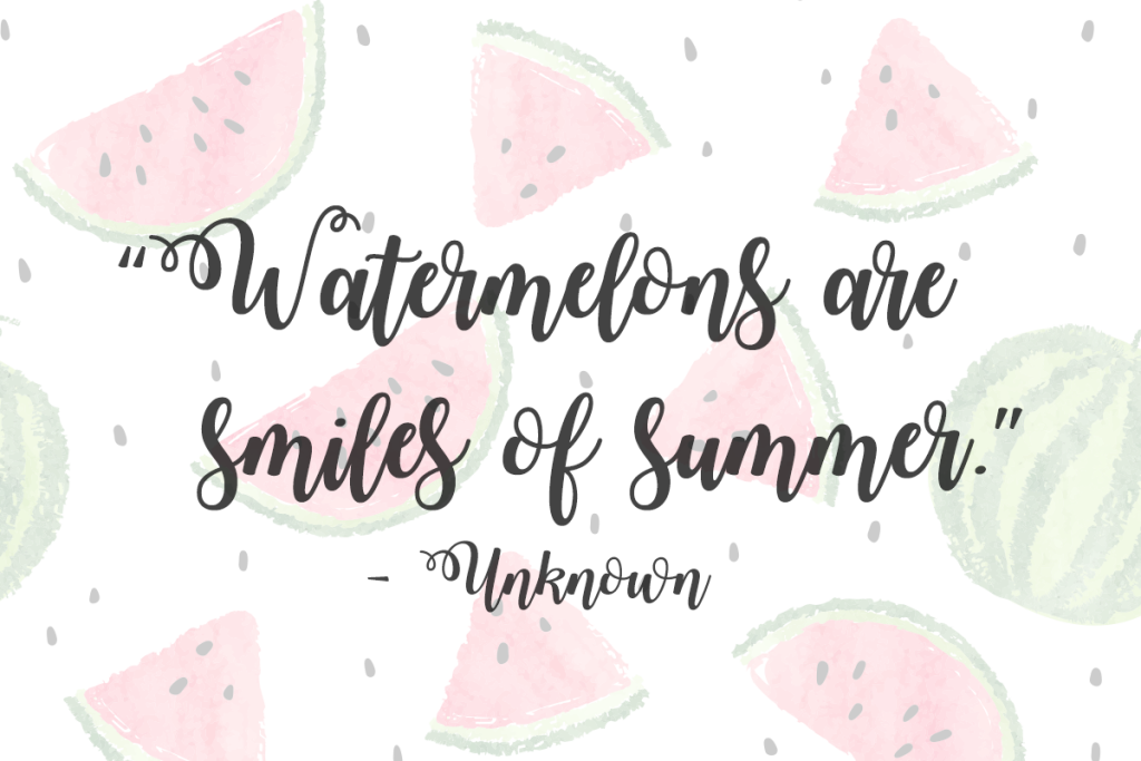 Watermelon Script 2 illustration 3