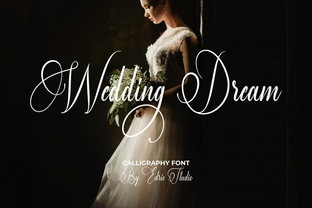 Wedding Dream Demo illustration 8