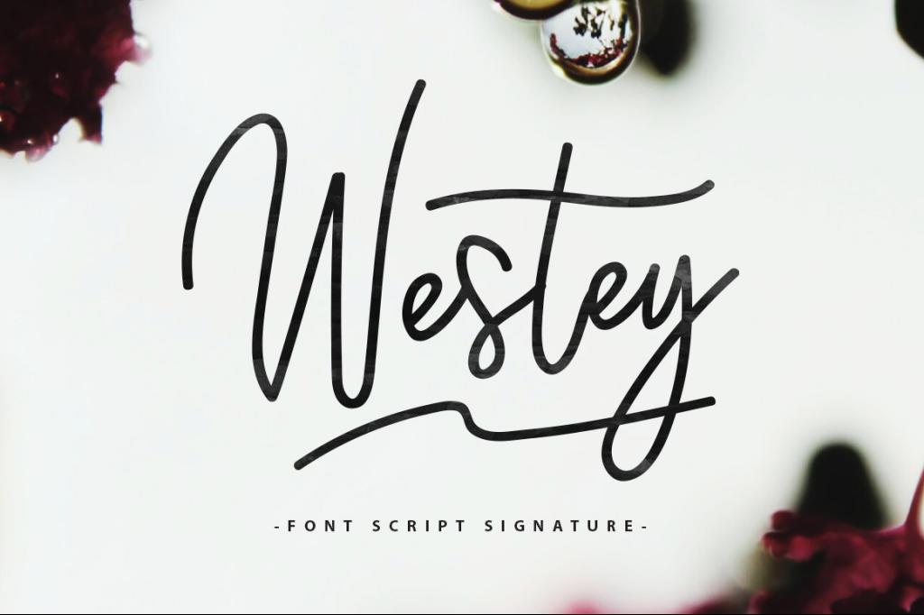 Westey illustration 5