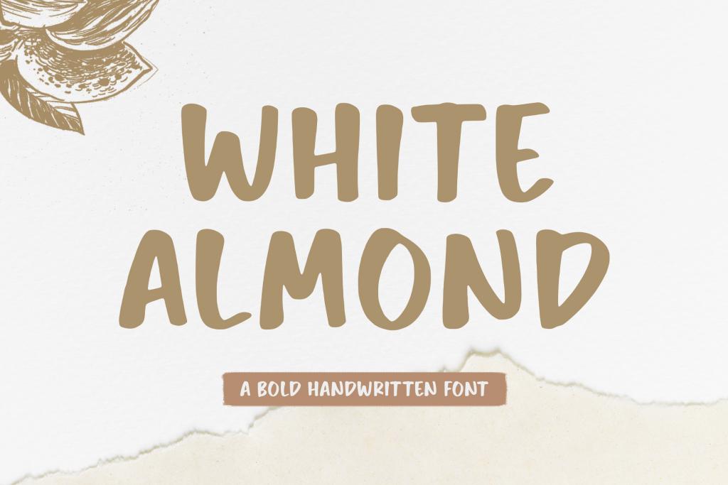 White Almond illustration 6