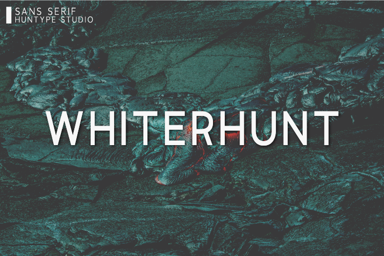 Whiterhunt illustration 4