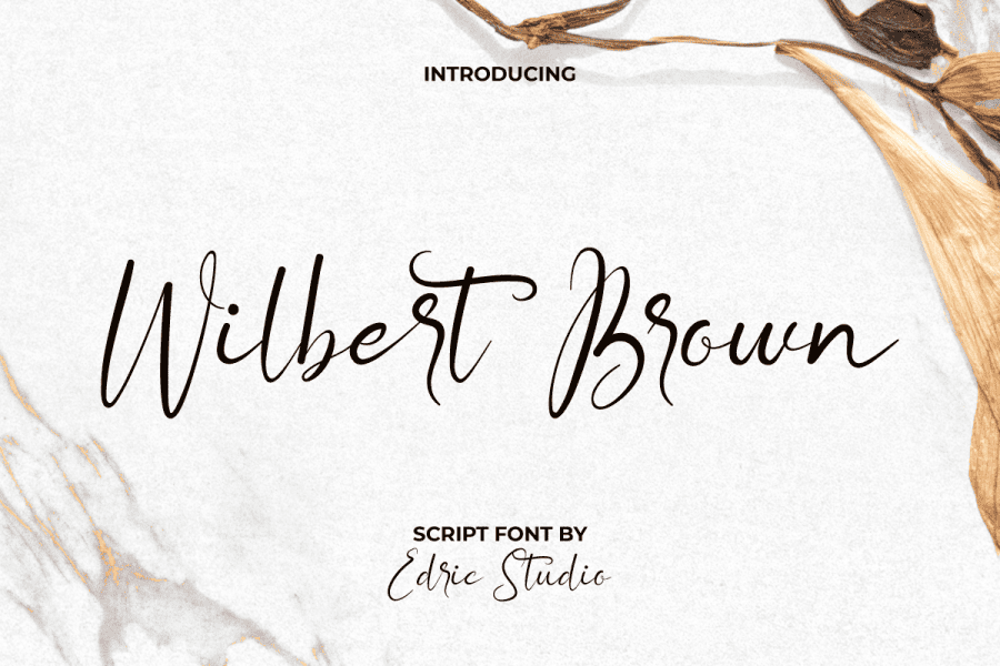 Wilbert Brown Demo illustration 2