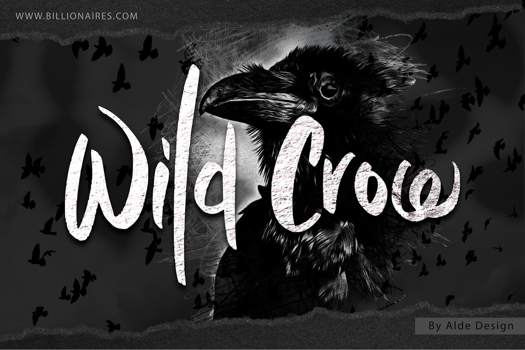 Wild Crow illustration 1