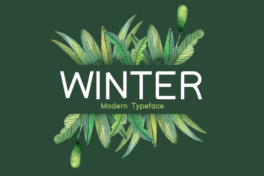 Winter Font · 1001 Fonts