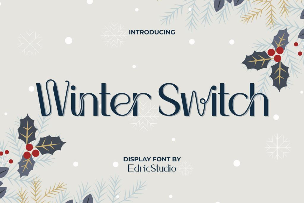 Winter Switch Demo illustration 2