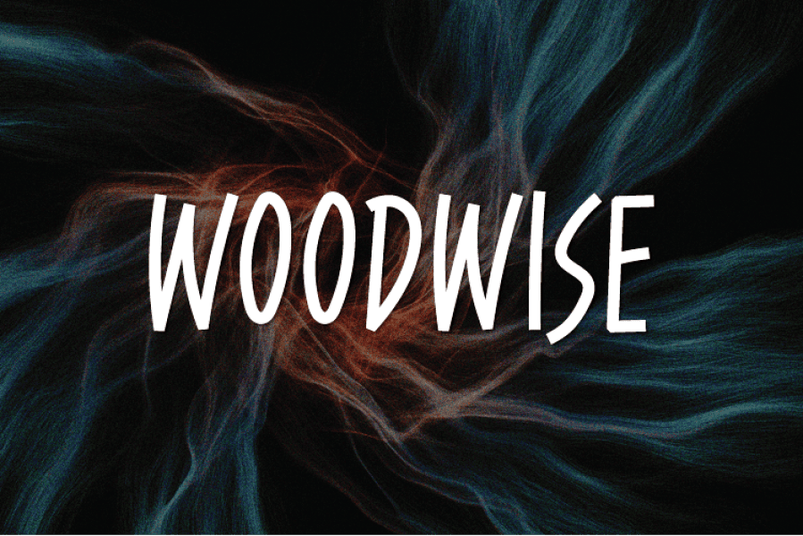 Woodwise illustration 2