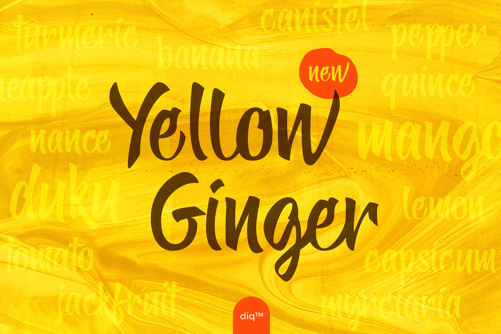 Yellow Ginger illustration 13
