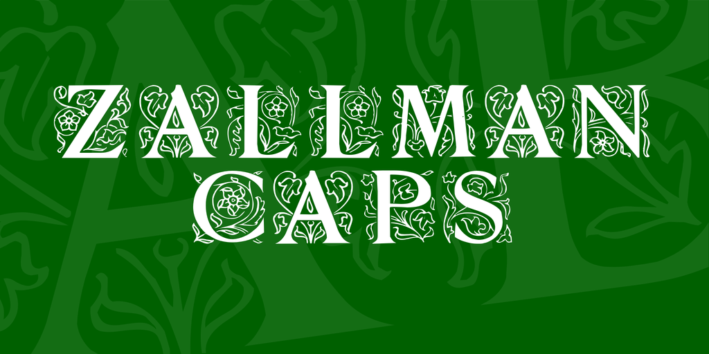 Zallman Caps illustration 1
