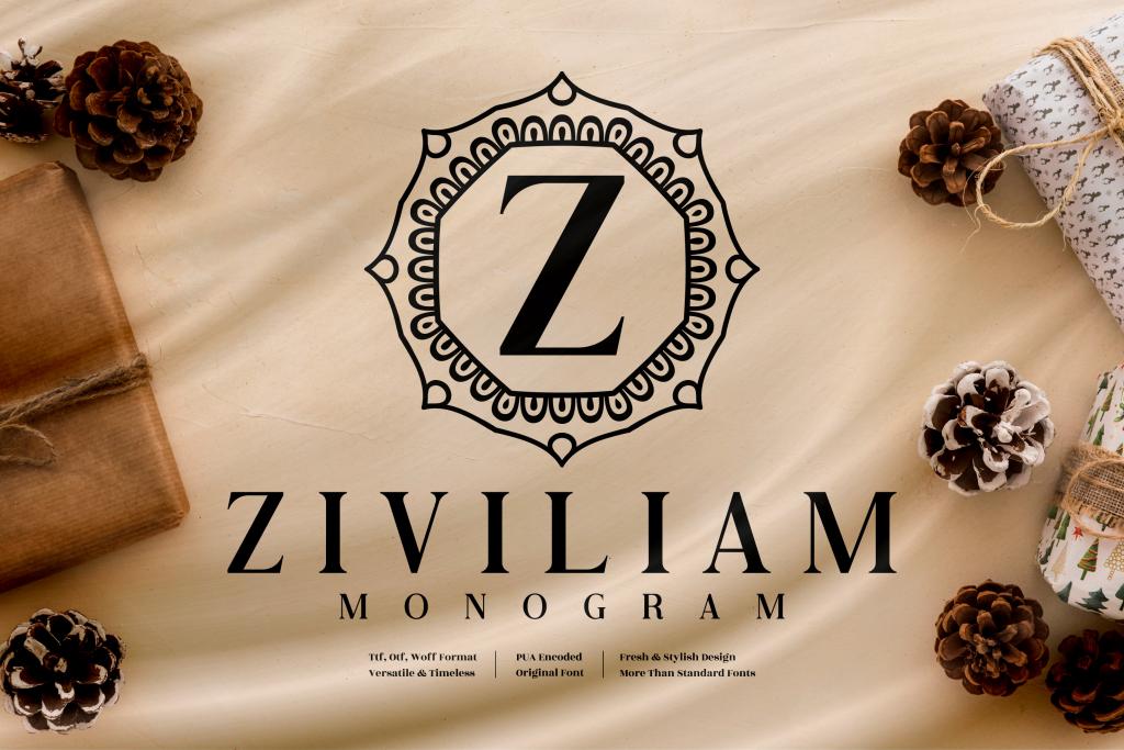Ziviliam Monogram illustration 2